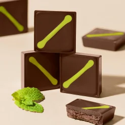 Hotel Chocolat Dark Peppermint Chocolate Selector Online