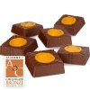 Hotel Chocolat Peanut Butter Chocolate Selector New